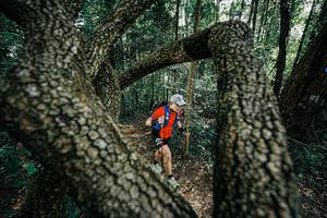 BIB: 
                            <button type="button" onclick="openModal(25391887)" class="btn btn-primary btn-sm float-right btn-popup" data-toggle="modal" data-target=".modal-high-quality">
                        <i class="fas fa-shopping-cart"></i> Add to Cart
                    </button>
                                            <button type="button" onclick="isThisMe(25391887, true)" class="btn btn-success btn-sm float-right btn-popup btn-isme hidden" data-toggle="tooltip" data-placement="bottom" title="นี่คือรูปของคุณใช่ไหม คลิกที่นี่เพื่อเอาเข้าอัลบั้ม">
                        <i class="fas fa-plus"></i> Add to album
                    </button>
                    <button type="button" onclick="isThisMe(25391887, false)" class="btn btn-warning btn-sm float-right btn-popup btn-isnotme hidden">
                        <i class="fas fa-ban"></i> Remove from album
                    </button>